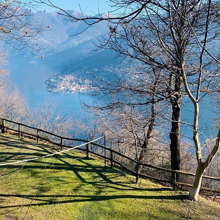 Il Riccio Appartamento Cernobbio Luaran gambar