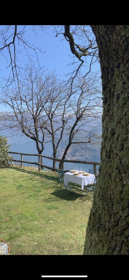 Il Riccio Appartamento Cernobbio Luaran gambar
